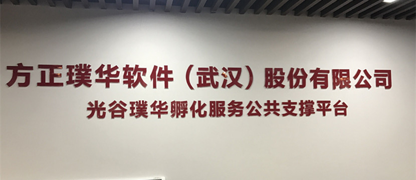 走出課堂，走進(jìn)企業(yè)—藍(lán)鷗武漢學(xué)子赴方正璞華參觀學(xué)習(xí)